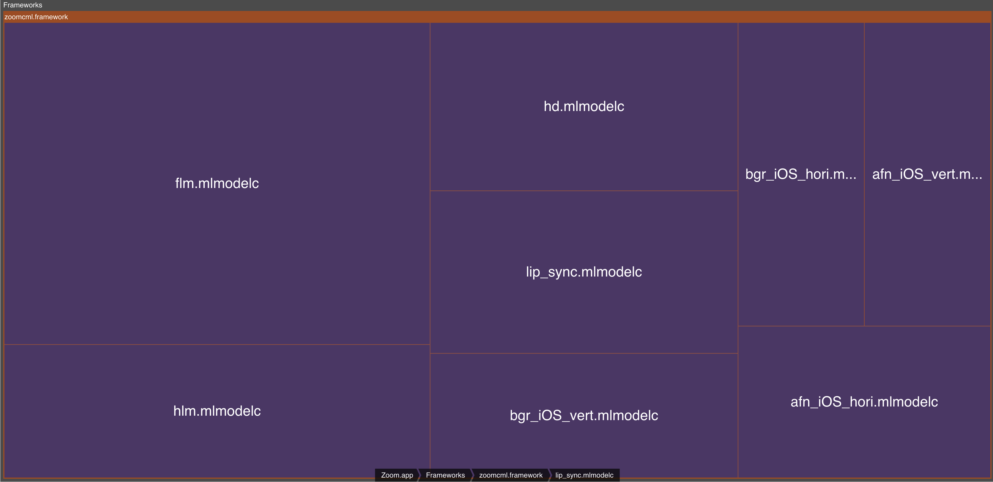 Zoom Core ML models